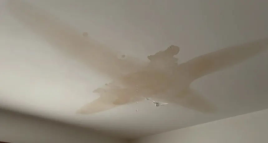 Ceiling stain and bulge from a water leak above
