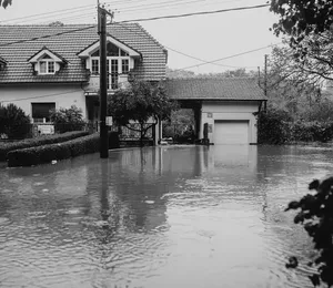 Flooded Basement Cleanup